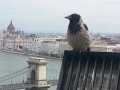 Węgry - Budapeszt i Eger