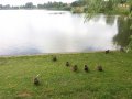 Suwałki 