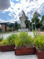 Opole – miasto muzyki, zieleni i dobrego klimatu